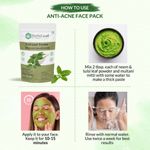 Buy Herbsland Tulsi Leaf Powder - 100% Natural For Skin Purification, Acne Control & Hair Care | Organic Herbal Powder |100 gm - Purplle