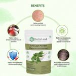 Buy Herbsland Tulsi Leaf Powder - 100% Natural For Skin Purification, Acne Control & Hair Care | Organic Herbal Powder |100 gm - Purplle