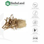 Buy Herbsland Pure Shatavari Powder - Natural Remedy For Reproductive Health, Digestion & Immunity | Ayurvedic Powder |100 gm - Purplle