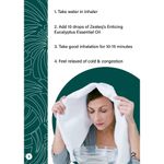 Buy Zesteq Undiluted Organic Eucalyptus Essential Oil (15 ml) | Clinically Tested | Refreshes & Soothes, Supports Respiratory Health, Relieves Congestion | Certified Organic - Purplle