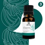 Buy Zesteq Undiluted Organic Eucalyptus Essential Oil (15 ml) | Clinically Tested | Refreshes & Soothes, Supports Respiratory Health, Relieves Congestion | Certified Organic - Purplle
