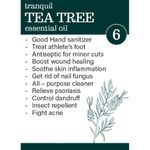 Buy Zesteq Undiluted Organic Tea Tree Essential Oil (15 ml) | Clinically Tested | Purifies Skin, Fights Acne, Soothes Irritations | Certified Organic - Purplle