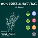 Buy Zesteq Undiluted Organic Tea Tree Essential Oil (15 ml) | Clinically Tested | Purifies Skin, Fights Acne, Soothes Irritations | Certified Organic - Purplle