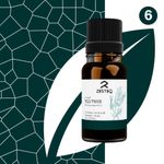 Buy Zesteq Undiluted Organic Tea Tree Essential Oil (15 ml) | Clinically Tested | Purifies Skin, Fights Acne, Soothes Irritations | Certified Organic - Purplle