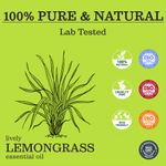Buy Zesteq Undiluted Organic Lemongrass Essential Oil (15 ml) | Clinically Tested | Uplifts Mood, Relieves Stress, Natural Deodorizer | Certified Organic - Purplle