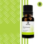 Buy Zesteq Undiluted Organic Lemongrass Essential Oil (15 ml) | Clinically Tested | Uplifts Mood, Relieves Stress, Natural Deodorizer | Certified Organic - Purplle
