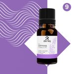 Buy Zesteq Undiluted Organic Lavender Essential Oil (15 ml) | Clinically Tested | Soothes & Nourishes Skin, Promotes Relaxation & Stress Relief | Certified Organic - Purplle