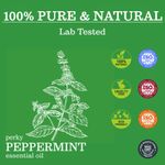 Buy Zesteq Undiluted Organic Peppermint Essential Oil (15 ml) | Clinically Tested | Energizes & Refreshes, Relieves Headaches, Soothes Muscles | Certified Organic - Purplle