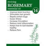 Buy Zesteq Undiluted Organic Rosemary Essential Oil (15 ml) | Clinically Tested | Promotes Hair Growth, Nourishment & Strength | Controls Hair Fall | Certified Organic - Purplle