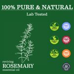 Buy Zesteq Undiluted Organic Rosemary Essential Oil (15 ml) | Clinically Tested | Promotes Hair Growth, Nourishment & Strength | Controls Hair Fall | Certified Organic - Purplle