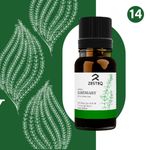Buy Zesteq Undiluted Organic Rosemary Essential Oil (15 ml) | Clinically Tested | Promotes Hair Growth, Nourishment & Strength | Controls Hair Fall | Certified Organic - Purplle
