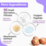 Buy Wild Oak Korean Snail Mucin 96 Peptide Serum | Glass Skin | With 96 Snail Filtrate, 1% Olive Squalane & Peptides | Powerful Skin Barrier | Skin Hydration, Hyper Pigmentation, Anti-Aging & Wrinkles | 30 ml - Purplle
