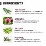 Buy Dermatouch Rosemary Water Hair Growth Spray - 100 ml - Purplle