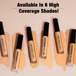 Buy Hilary Rhoda Hide It All Cover Conceal | Conceals Masks, Scars & Dark Circles | High Coverage Concealer | With Shea Butter | Matte Finish | Cruelty-Free & Vegan -3.7 ml (Walnut - Shade 6) - Purplle