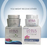 Buy Lotus Herbals Whiteglow Skin Whitening & Brightening Nourishing Night Cream, 60 gm - Purplle