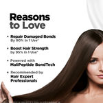 Buy BBLUNT Bond Repair Treatment Hair Mask - 250 gm Repairs Damaged Bonds by 90% in 1 Use | Powered with MaliPeptide BondTech | Recommended by Hair Experts - Purplle