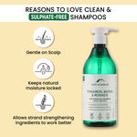 Buy Alps Goodness Soft Shiny Haircare Duo with Antihairfall Shampoo with Fenugreek, Biotin & Redensyl & Softening Hair Serum with Coconut, Argan Oil & Vitamin E (Pack of 2) | Soft Shiny Hair | No Frizz | Mild Cleansing | No Sulphates or Parabens - Purplle