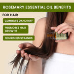 Buy Alps Goodness Rosemary Hair Growth Pro Kit (Pack of 3) | Rosemary & Curry Leaf Powder (50 gm), Rosemary Water (100 ml) & Rosemary Essential Oil (10 ml) | Thick-Long Hair | Face & Hair Mask - Purplle