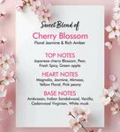 Buy The Love Co Japanese Cherry Blossom Solid Perfume - 12 gm - Purplle