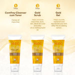 Buy VLCC Gold Facial Kit + FREE Rose Water Toner Worth (300 g + 100 ml) - Purplle