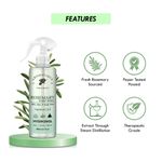 Buy Aromatique Rosemary Water, Rose Mary Water for Hair, Rosemary Hair Mist, Strengthens Hair, Suitable For All Hair Types (200 ml) - Purplle