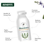 Buy Aromatique Rosemary Shampoo - 300 ml Rosemary Shampoo for Hair Growth Enriched with Onion, Castor Oil & Shikakai Extract - Rosemary Shampoo for Hair Fall & Dandruff Control - Purplle