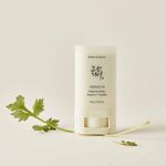 Buy Beauty of Joseon Matte Sunstick Mugwort + Camelia [SPF50+ PA++++] 18 gm - Purplle
