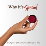 Buy Deyga Beetroot Lip Balm | Lip Care | For Dry & Chapped Lips | For Pigmented Lips | For Women & Men (Classic Lip Balm), 1 Count 10 gm - Purplle