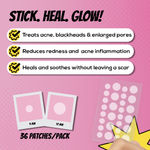 Buy Renee Everyday Acne Clearing Patches, Pack of 2 - Purplle
