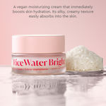 Buy The Face Shop Rice Water Vegan Cream (50 ml) - Purplle