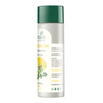 Buy Biotique Dandelion Youth Anti-Ageing Serum (190 ml) - Purplle
