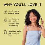 Buy Fix My Curls Cleansing Shampoo | For Curly, Wavy, Frizzy Hair | Clarifying Shampoo, Anti-Dandruff, & Itchy Scalp Solution with Apple Cider Vinegar & Tea Tree Oil | Sulphate Free Hair Detox | 50 ml - Purplle