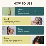 Buy Fix My Curls Cleansing Shampoo | For Curly, Wavy, Frizzy Hair | Clarifying Shampoo, Anti-Dandruff, & Itchy Scalp Solution with Apple Cider Vinegar & Tea Tree Oil | Sulphate Free Hair Detox | 50 ml - Purplle