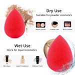 Buy Ronzille Makeup Blending Powder Sponge Powder Cut Puff Premium Ultra soft Makeup sponge, Multicolor (Pack of 1) - Purplle