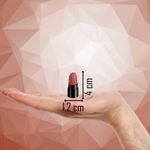 Buy Ronzille Pocket Mini Bullet Matte Finish Lipstick Nude Edition Set of 6 12 gm - Purplle