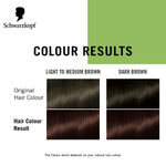 Buy Schwarzkopf Simply Colour Permanent Hair Colour For 100% Grey Coverage-4.68 chestnut Brown, 142.5 ml - Purplle
