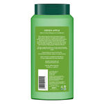 Buy Biotique Green Apple Shine & Gloss Shampoo & Conditioner (340 ml) - Purplle