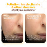 Buy Mamaearth Chia Calming Sunscreen with Chia Seed & Ceramides for Healthy Skin Barrier & Sun Protection 50 gm | SPF 50 PA++++ |hydrated glow| For Dry &Sensitive Skin | UVA/ B Protection | No White Cast | In-Vivo Tested - Purplle