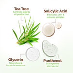 Buy Mamaearth Tea Tree Oil Control Face Pack with Tea Tree & Salicylic Acid for Normal to Oily Skin 200 gm | DIY-like Texture | Controls Sebum Production & Acne | Clay Face Mask |Free From Harmful Chemicals - Purplle