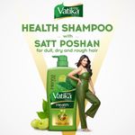 Buy Dabur Vatika Health Shampoo - 640 ml | With 7 natural ingredients | For Smooth, Shiny & Nourished Hair | Repairs Hair damage, Controls Frizz | For All Hair Types | Goodness of Henna & A mla - Purplle