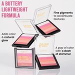 Buy INSIGHT Cosmetics 5 Shades Of Shine Brick Blusher - Prism Cascade (12 gm) - Purplle