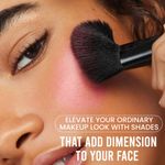 Buy INSIGHT Cosmetics 5 Shades Of Shine Brick Blusher - Prism Cascade (12 gm) - Purplle