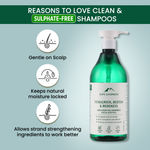 Buy Alps Goodness Anti Hairfall Monthly Care Combo with Anti Hairfall Shampoo, Rosemary Water Spray & Rosemary essential oil I Hair Growth Experts I For thicker stronger hair| Hair Care Kit Combo of 3 - Purplle