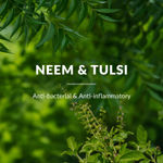 Buy Lotus Botanicals Neem, Tulsi & Salicylic Acid Anti-Acne Purifying Face Gel - 50 gm - Purplle