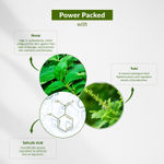 Buy Lotus Botanicals Neem, Tulsi & Salicylic Acid Anti-Acne Purifying Face Gel - 50 gm - Purplle