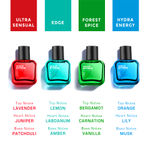Buy Wild Stone Edge, Forest Spice, Hydra Energy and Ultra Sensual Perfume Combo for Men, Long Lasting Smell | Pack of 4 (30ml each) - Purplle