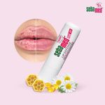 Buy Sebamed Lip Defense (4.8 gm) - Purplle
