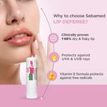 Buy Sebamed Lip Defense (4.8 gm) - Purplle