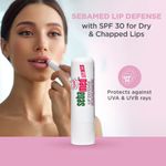 Buy Sebamed Lip Defense (4.8 gm) - Purplle