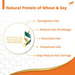 Buy Himalaya Damage Repair Protein Shampoo | Repairs & Protects Hair from Damage | For Dry & Damaged Hair | With Beach Almond & Chickpea | For Women & Men | 180 ml - Purplle